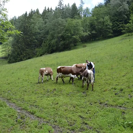 Panoramapension Lerchner Bad Kleinkirchheim