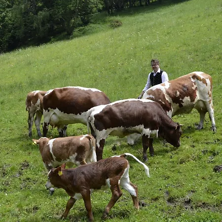 Panoramapension Lerchner 3* Bad Kleinkirchheim