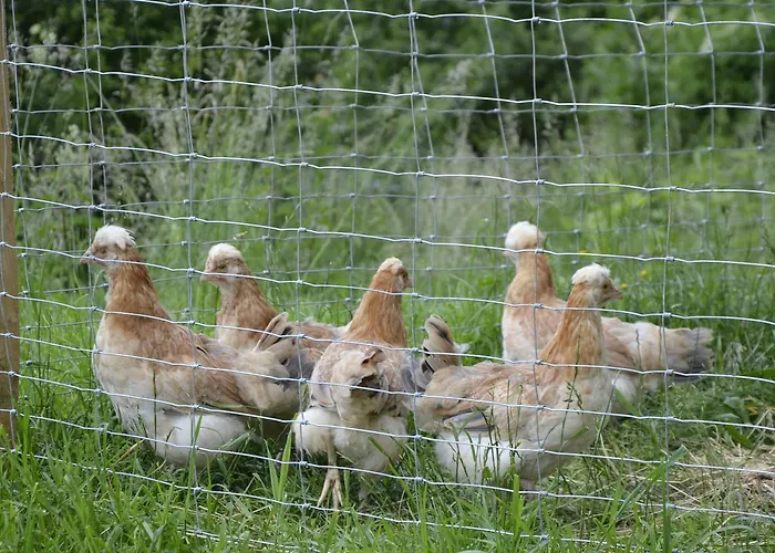 Гостьовий будинок Panoramapension Lerchner 3*