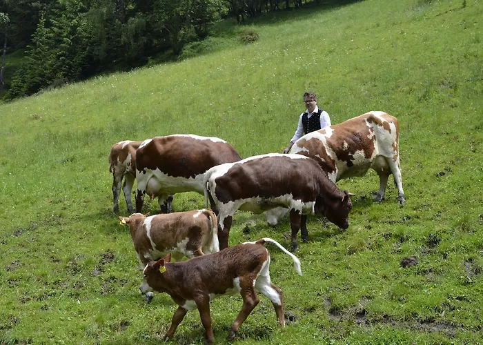 Panoramapension Lerchner 3* Бад-Кляйнкірхгайм